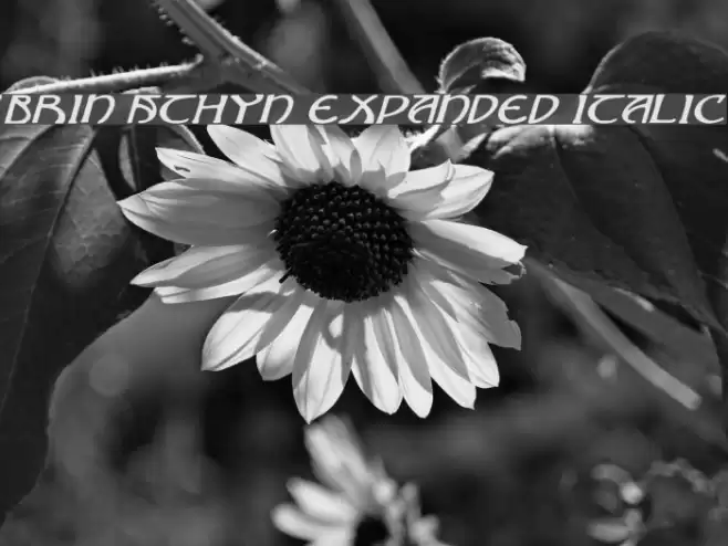 Brin Athyn Expanded Italic Schriftart examples