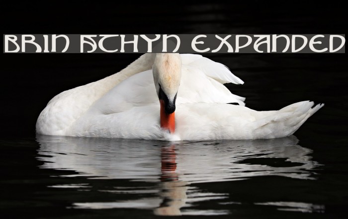 Brin Athyn Expanded Font examples