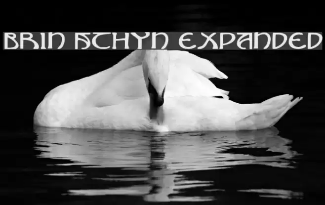 Brin Athyn Expanded Schriftart examples