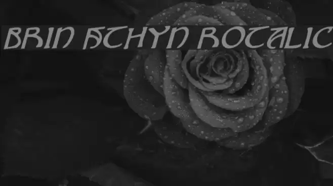 Brin Athyn Rotalic Font examples