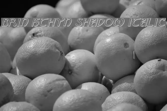 Brin Athyn Shadow Italic Font examples
