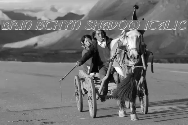 Brin Athyn Shadow Italic Font examples