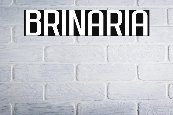 Brinaria Example 1