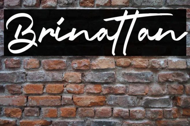 Brinattan Example 1