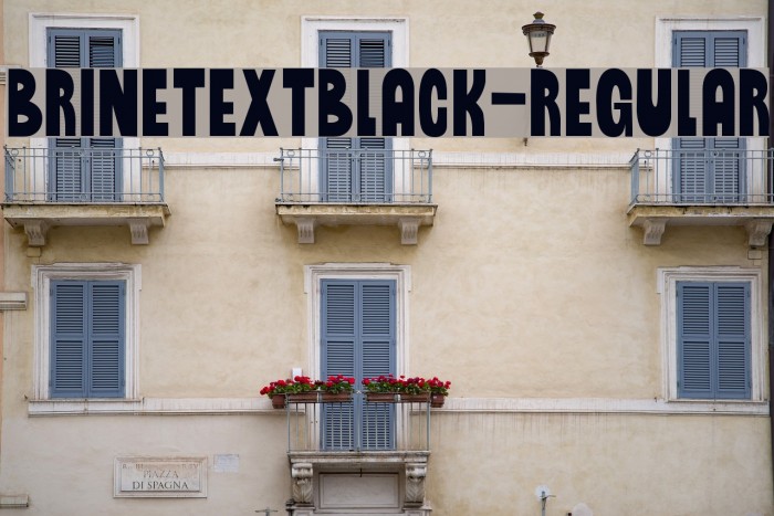 BrinetextBlack-Regular Example 2