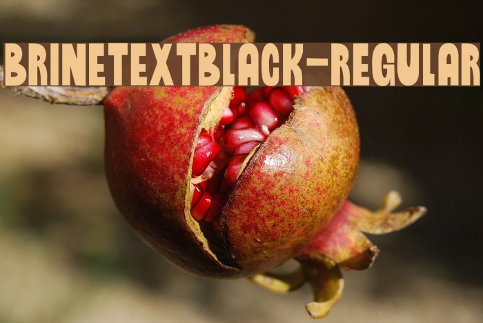 BrinetextBlack-Regular Example 3