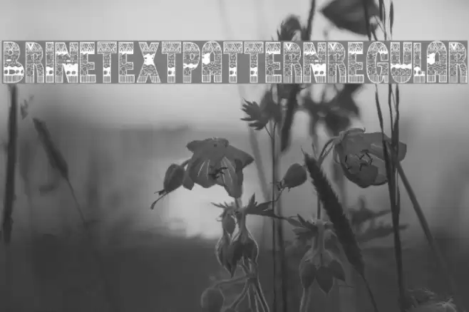 BrinetextPattern-Regular Font examples