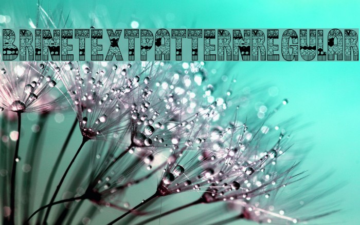 BrinetextPattern-Regular Example 2