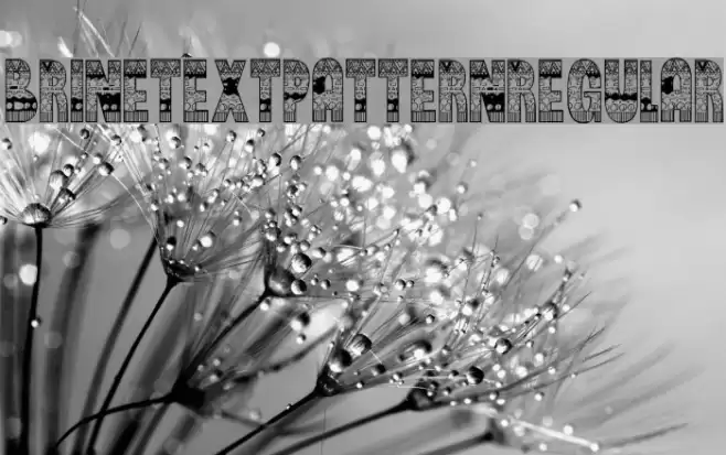 BrinetextPattern-Regular Font examples