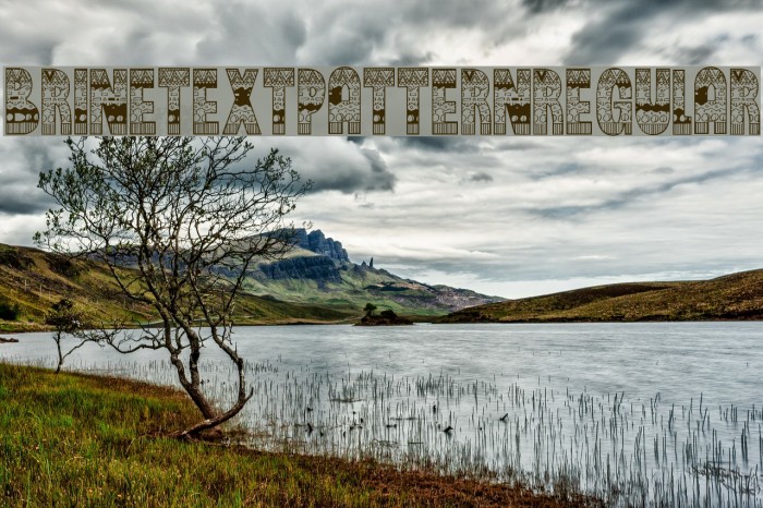 BrinetextPattern-Regular Example 3