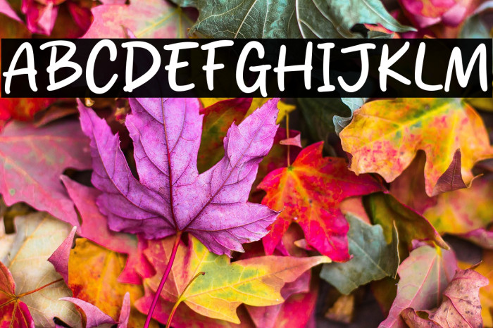 Bring Me Stick Example 1