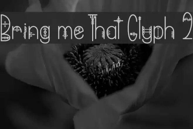 Bring me That Glyph 2 Font examples