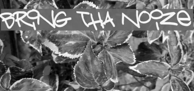 Bring tha noize Font examples