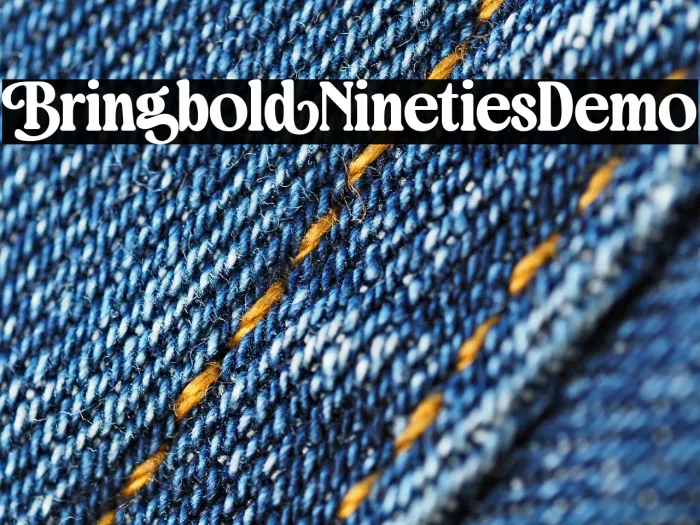 Bringbold Nineties Demo Example 1