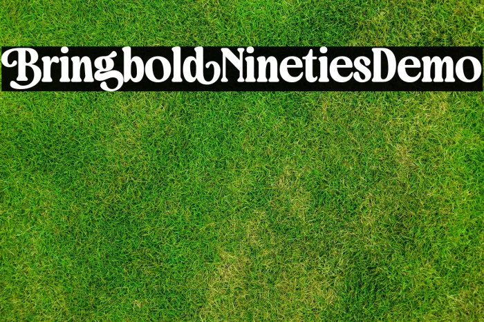 Bringbold Nineties Demo Example 3
