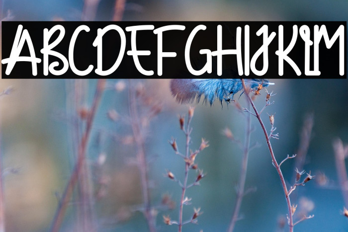 Bringing Back Example 2