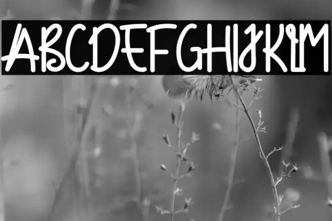 Bringing Back Font examples