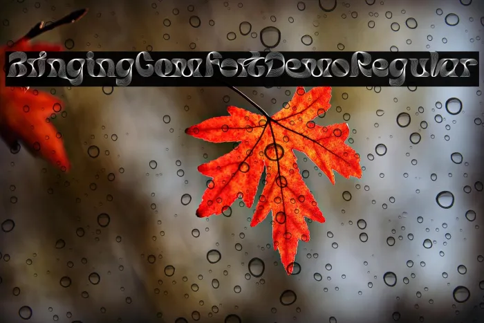 Bringing Comfort Demo Regular Example 3