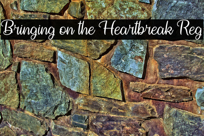 Bringing on the Heartbreak Reg Example 3