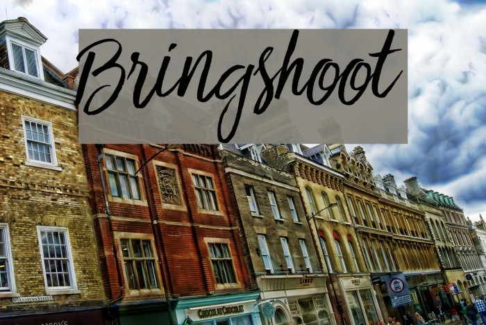 Bringshoot Font examples