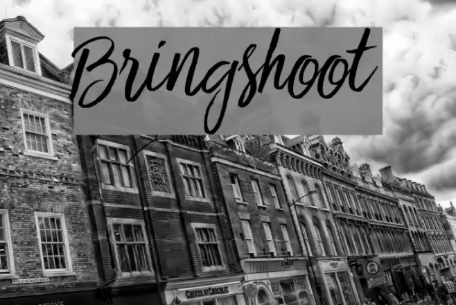 Bringshoot Font examples