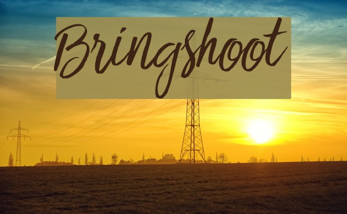 Bringshoot Font examples