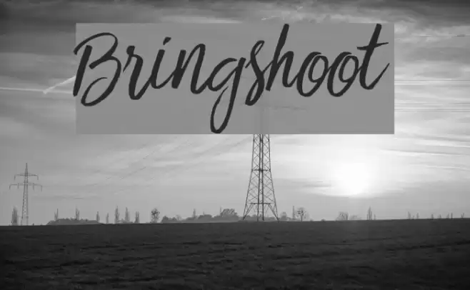 Bringshoot Font examples