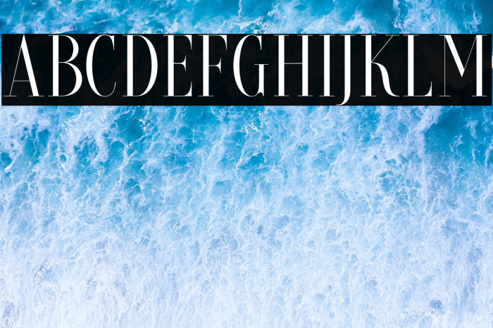 BriocheDEMO Example 1