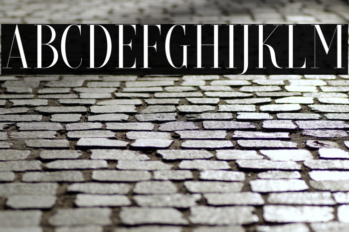 BriocheDEMO Example 2