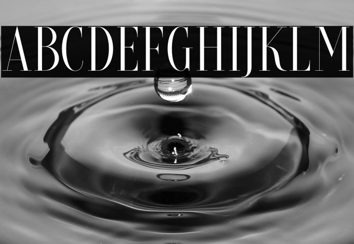 BriocheDEMO Example 3