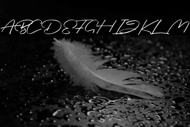 Briquete Font examples