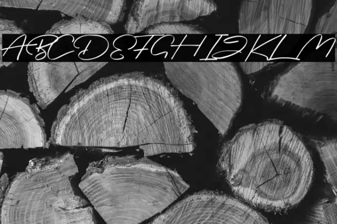 Briquete Font examples