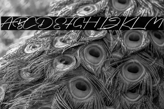 Briquete Font examples