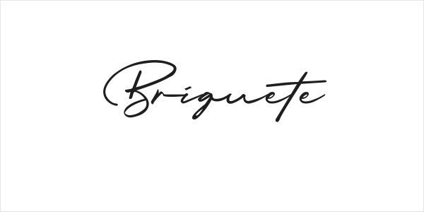 Briquete Logo