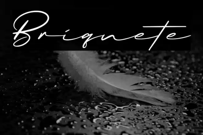 Briquete Font examples