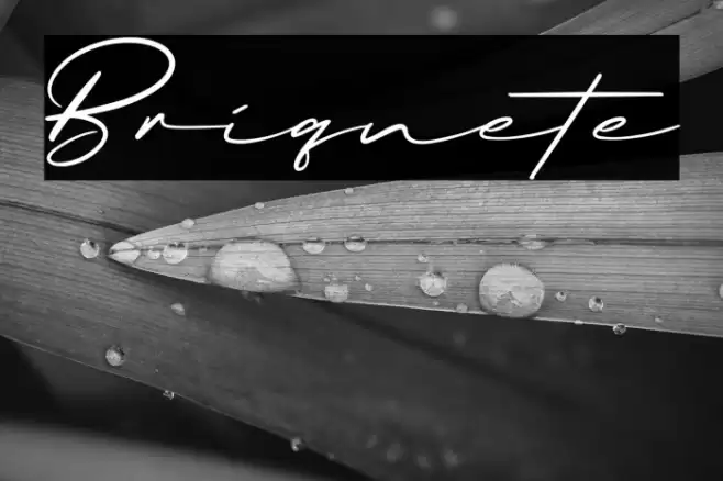 Briquete Font examples