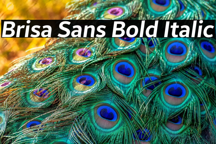 Brisa Sans Bold Italic Example 1