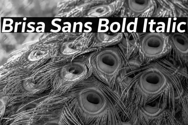 Brisa Sans Bold Italic Font examples