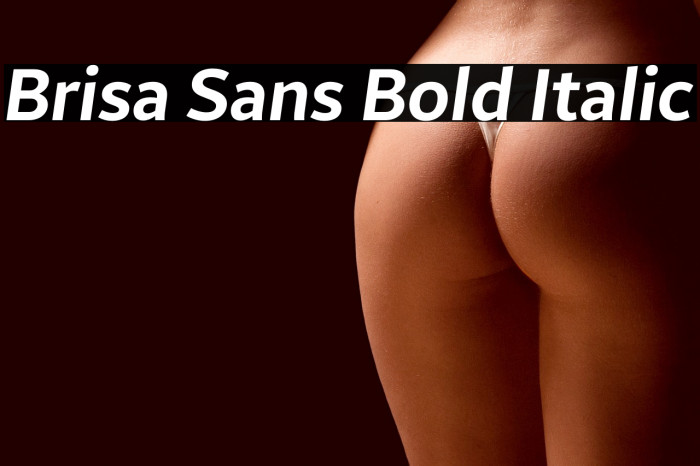 Brisa Sans Bold Italic Example 2