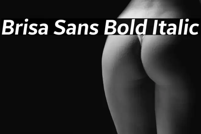 Brisa Sans Bold Italic Font examples
