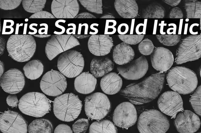 Brisa Sans Bold Italic Font examples