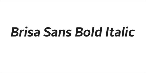 Brisa Sans Bold Italic Logo