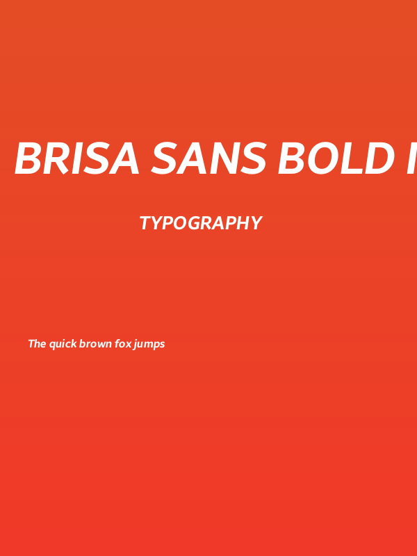 Brisa Sans Bold Italic Poster
