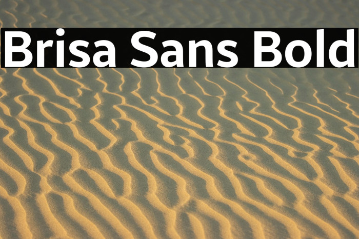 Brisa Sans Bold Example 1