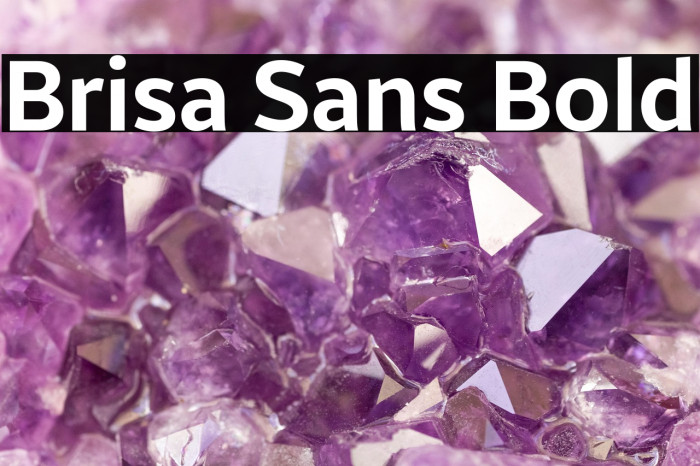 Brisa Sans Bold Example 2