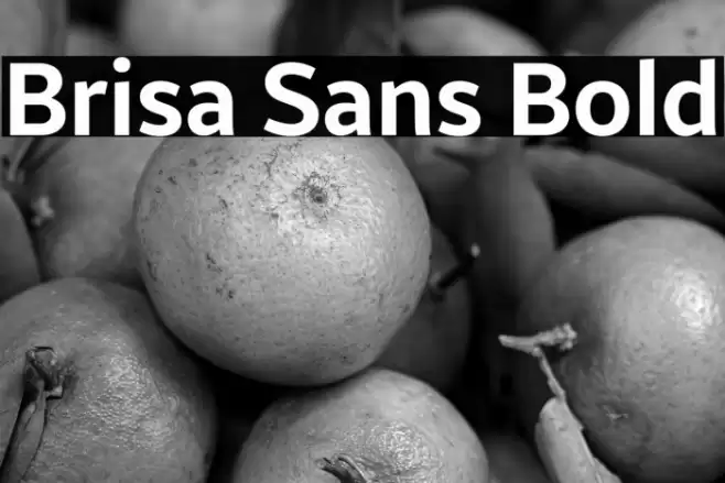 Brisa Sans Bold Font examples