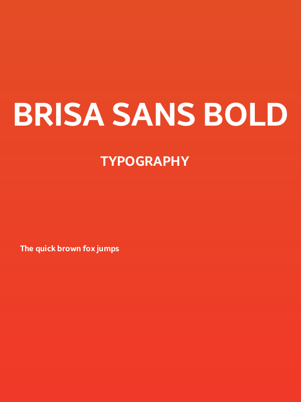 Brisa Sans Bold Poster