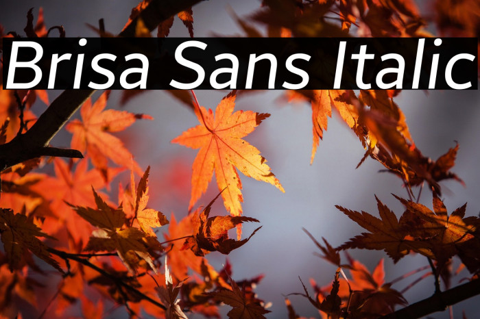 Brisa Sans Italic Example 1