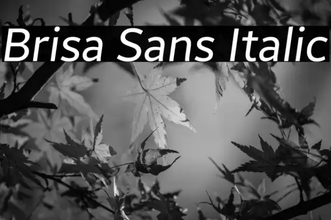 Brisa Sans Italic Font examples