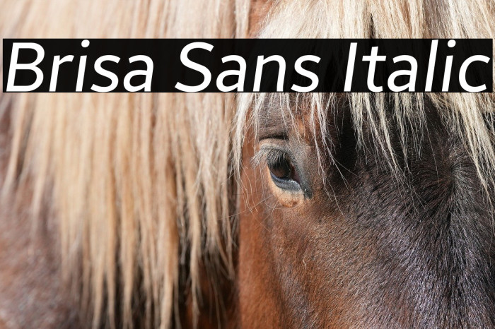 Brisa Sans Italic Example 2